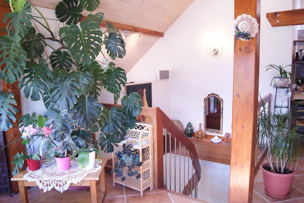 B&B Le Sourire Du Lac Севрие Экстерьер фото